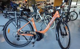 La roue Sourdine intérieur - Au rendez-vous des Normands