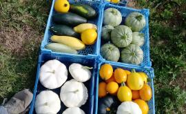 Le Paradis des Saveurs de Valérie produits  - Au rendez-vous des Normands