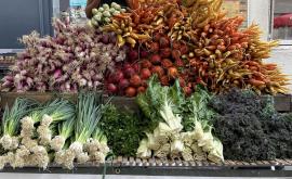 Une Ferme du Perche stand1 - Au rendez-vous des Normands