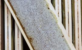 Le Rucher de l'Aure cadre de miel - Au rendez-vous des Normands