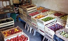 Le jardin des Peltier - Au rendez-vous des Normands