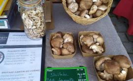 ExFungos produits - Au rendez-vous des Normands