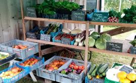 Micro ferme MSV le potager nature - Au rendez-vous des Normands