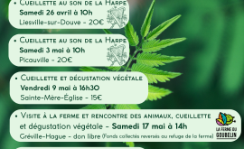 Calendrier des sorties prévues en Normandie en 2025 (Page 1)
