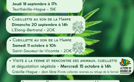 Calendrier des sorties prévues en Normandie en 2025 (Page 2)