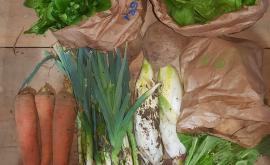 Du bio sur-le-champ panier - Au rendez-vous des Normands