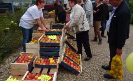 Ferme Pascal Crevel - Au rendez-vous des Normands