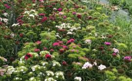 Ferme florale de Villedieu intérieur - Au rendez-vous des Normands