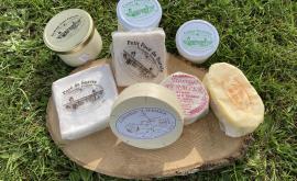 La foret de survie - Au rendez-vous des Normands