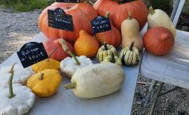 Le Pota'Jul stand1 - Au rendez-vous des Normands