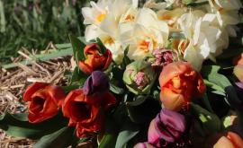 Les Pétales de la Baie bouquet - Au rendez-vous des Normands