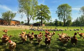 Parc de la Vitardière extérieur - Au rendez-vous des Normands