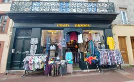 chats-nippés- Au rendez-vous des Normands