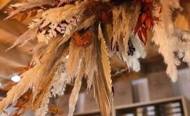 Babzacao boutique - Au rendez-vous des Normands