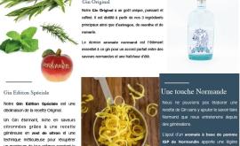 Gin 3R presentation - Au rendez-vous des Normands