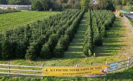 La Plantation Ridel extérieur - Au rendez-vous des Normands