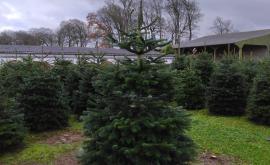 La Plantation Ridel extérieur1 - Au rendez-vous des Normands