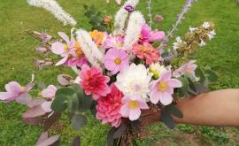 Les fleurs de canon bouquet - Au rendez-vous des Normands