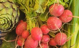 La Ferme Marguerite - La Ruche qui dit Oui de Sainte Marguerite sur Duclair