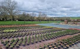 Au Jardin de Marion’s extérieur - Au rendez-vous des Normands