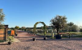 Au Jardin de Marion’s extérieur1 - Au rendez-vous des Normands