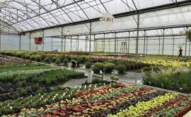 Ets.Aubry 1- Au rendez-vous des Normands