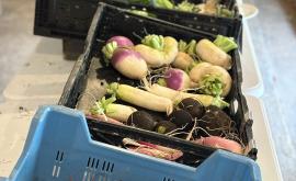 La Ferme de la Chaise vente - Au rendez-vous des Normands