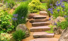 Pierre De Beauchamps allee - Au rendez-vous des Normands