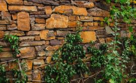 Pierre De Beauchamps mur - Au rendez-vous des Normands