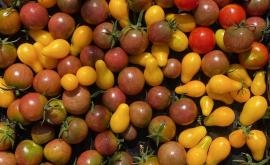 Caisse de tomates cerises