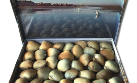 Le Coffret magique... Comme si vous y étiez !