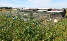 La Ferme de la Chaise vente extérieur - Au rendez-vous des Normands