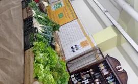 Le potager bio de jeremy - Au rendez-vous des Normands