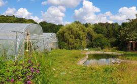 Ferme du Moulin Butin exterieur - Au rendez-vous des Normands