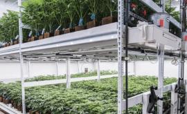 Skud Farm intérieur - Au rendez-vous des Normands