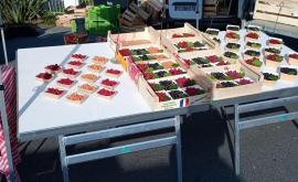 La ferme des deux mondes stand - Au rendez-vous des Normands