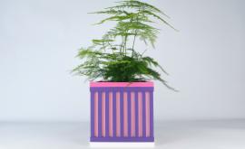 Cache-pot design Le Cube - Les Arcadiens