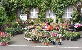 Dubois Fleurs extérieur - Au rendez-vous des Normands