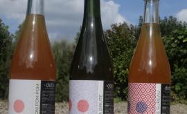 Dots game - Au rendez-vous des Normands