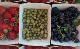 Les jardins vert Framboise fruits - Au rendez-vous des Normands