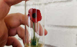 Atelier tantot fleur - Au rendez-vous des Normands