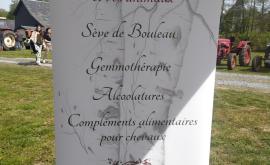 Roll-up stand