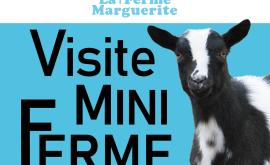 La Ferme Marguerite mini ferme - Au rendez-vous des Normands