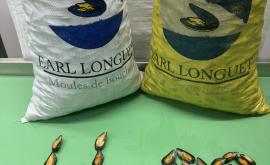 Earl Longuet moules - Au rendez-vous des Normands