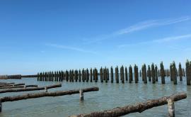 Earl Longuet parc - Au rendez-vous des Normands