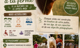 Listes des activités sur réservation 