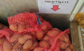 La boîte à patates 1 - Au rendez-vous des Normands