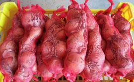 La boîte à patates oignons - Au rendez-vous des Normands