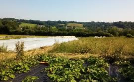 Les Légumes de Gaylord extérieur - Au rendez-vous des Normands