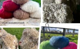 Les Mohairs du Cotentin pelotes  - Au rendez-vous des Normands